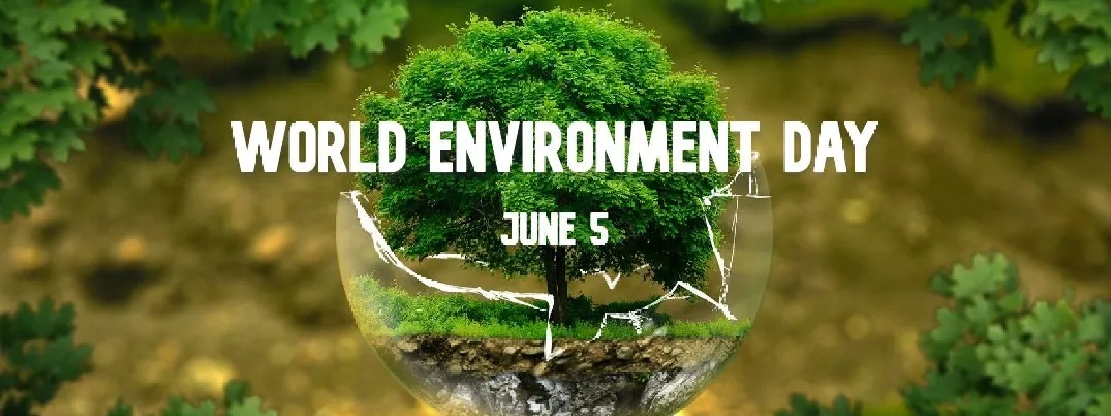 World Environment Day Marked Today